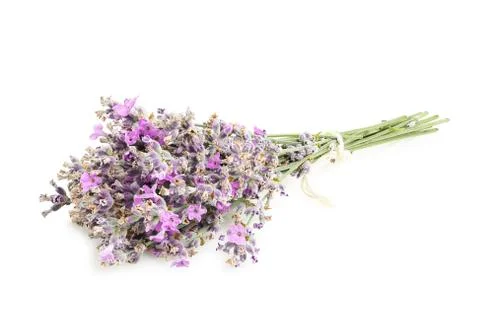 Lavender bunch Stock Photos