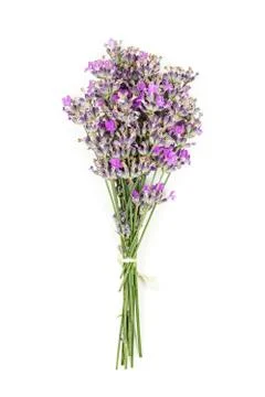 Lavender bunch Stock Photos