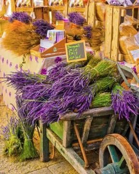 Lavender Cart Stock Photos