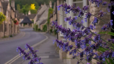 Lavender at Castle Combe Stock Footage 92753984