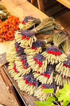 Lavender clusters Stock Photos