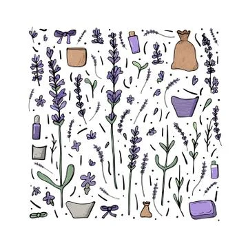 Lavender collection in doodle style. set of flowers elements isolated on whit Stock Illustration