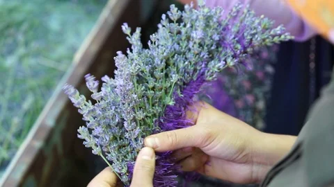 Lavender crown making Stock Footage 114188921