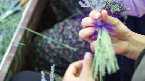 Lavender crown making Stock Footage 114191856
