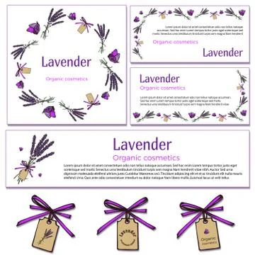 Lavender design elements Stock Illustration