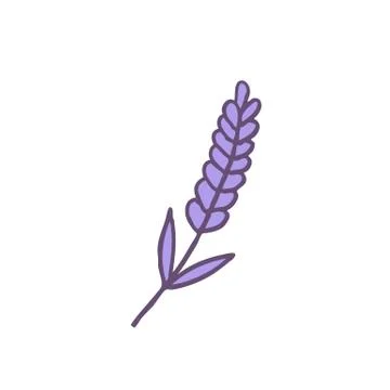Lavender doodle icon, vector illustration Stock Illustration