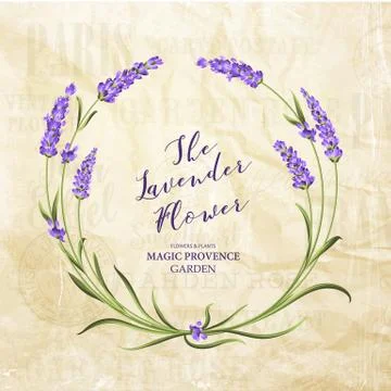 The lavender elegant card Illustrazione stock