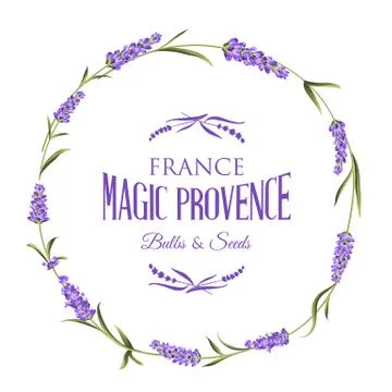 The lavender elegant card Stock Illustration