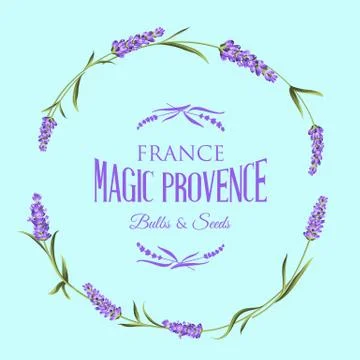 The lavender elegant card Stock Illustration