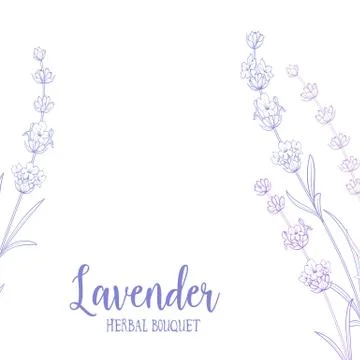 The lavender elegant card. Stock Illustration