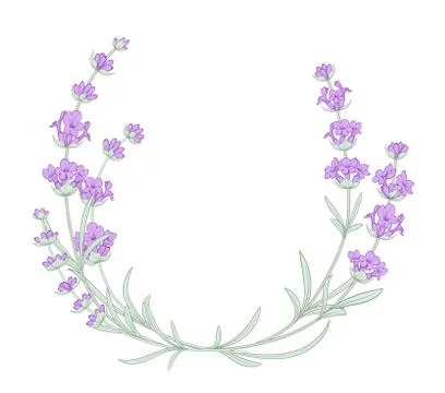 The lavender elegant wreath. Stock Illustration