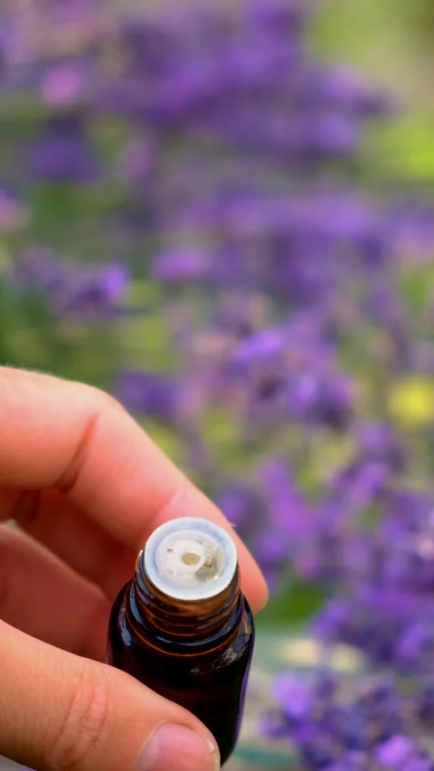 Lavender essential oil in a bottle. Selective focus. Stock Footage 315208596