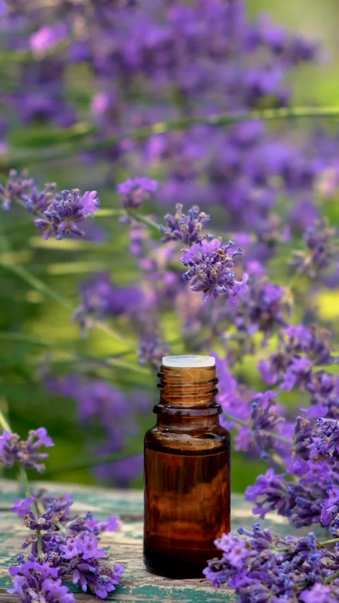 Lavender essential oil in a bottle. Selective focus. Stock Footage 315465422