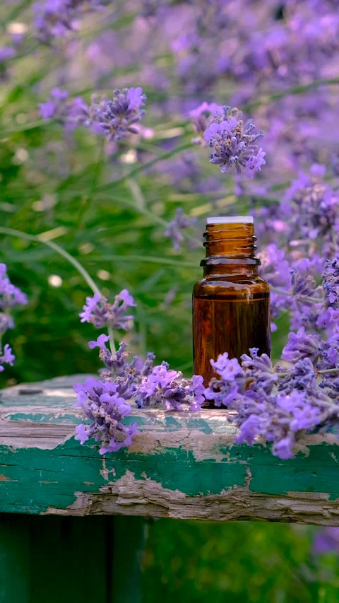 Lavender essential oil in a bottle. Selective focus. Stock Footage 315521505