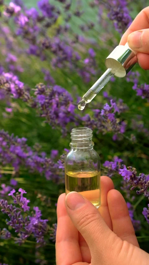 Lavender essential oil in a bottle. Selective focus. Stock Footage 316150443