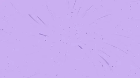 Lavender Explosion Abstract Burst Background with Blurry Particle Light Elements 스톡 동영상 311035405