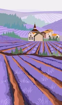 Lavender field with meadow fields and village houses Stock Illustration