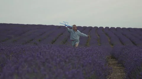 Lavender fields airplane child: Boy runs with toy plane in lavender fields on a Stock Footage 313402113