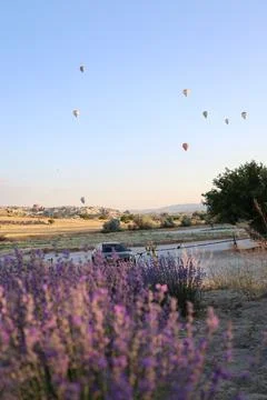 Lavender Fields Balloons Stock Photos