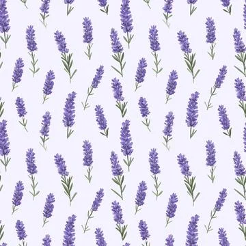 Lavender Fields with Delicate Green Stems Stock Illustration