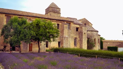 Lavender fields Stock Footage 170003710