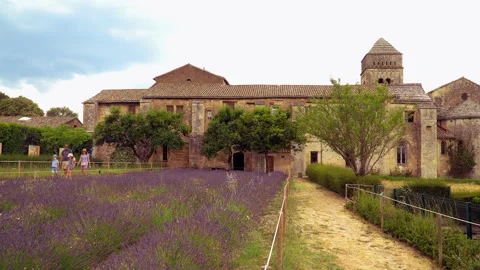 Lavender fields Stock Footage 170003713