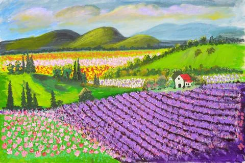 Lavender fields on a hillside Stock Illustration