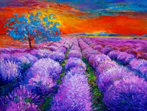 Lavender fields Stock Illustration