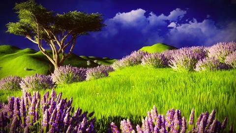Lavender fields Illustrazione stock