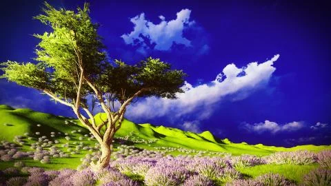 Lavender fields 스톡 일러스트