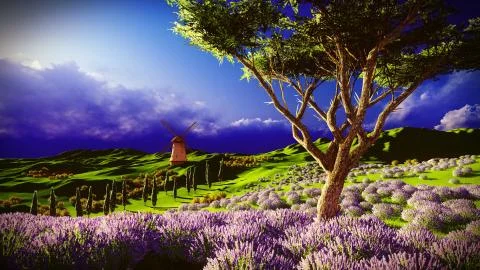 Lavender fields Stock-Illustration