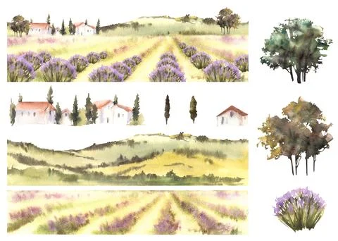 Lavender fields landscape elements set. Provence France summer. Watercolor hand Stock Illustration