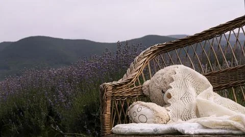 Lavender fields on mountains in the background, a place of rest Foto stock