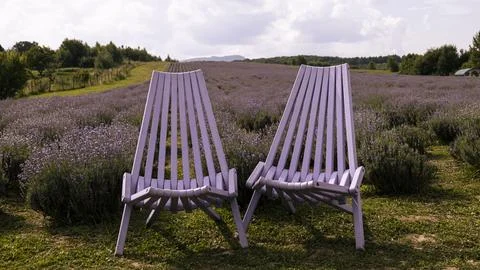 Lavender fields on mountains in the background, a place of rest Stock Photos