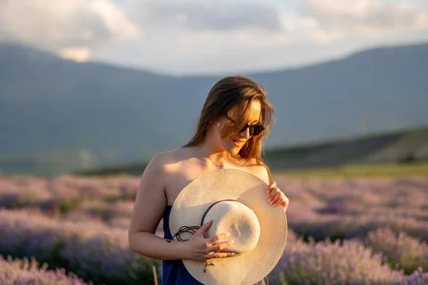 Lavender fields Foto stock