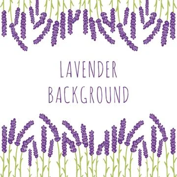 Lavender floral background Stock Illustration