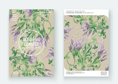 Lavender floral pattern cover design. Hand drawn baroque flower. Elegant tren Stock Illustration