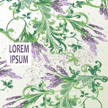 Lavender floral pattern cover design. Hand drawn baroque flower. Elegant tren Stock Illustration