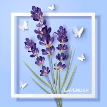 Lavender flower design Illustrazione stock