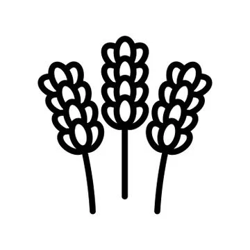 Lavender flower icon vector. Isolated contour symbol illustration 스톡 일러스트