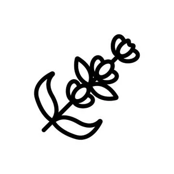 Lavender flower icon vector. Isolated contour symbol illustration Stock Illustration