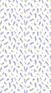 Lavender flower pattern on white background for home decor. Illustration