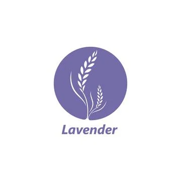 Lavender flower vector illustration design Stock Illustration