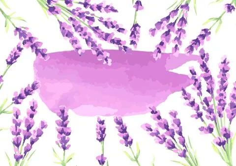 Lavender flowers background design. 스톡 일러스트