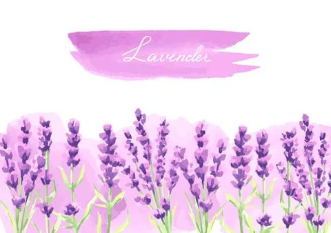 Lavender flowers background design. 스톡 일러스트