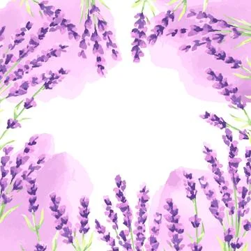 Lavender flowers background design. 스톡 일러스트