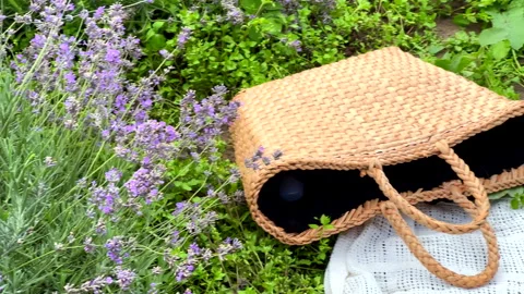 Lavender flowers close up Stock Footage 261952405