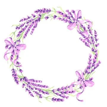 Lavender flowers decorative element. Illustrazione stock