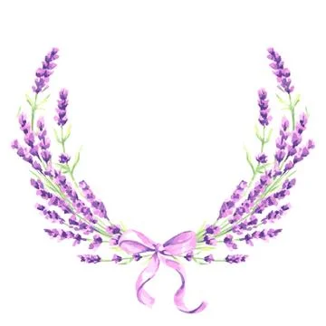 Lavender flowers decorative element. 스톡 일러스트