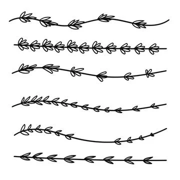 Lavender flowers divider for text layout separator decoration. Stockillustratie